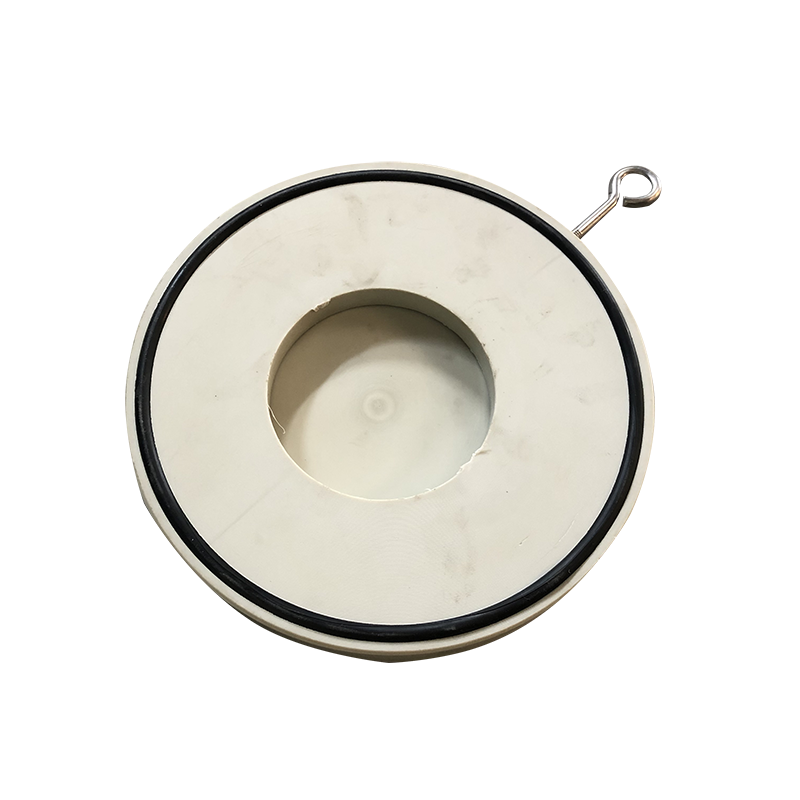 PPH闆(pan)式止回(hui)閥